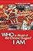 Who is Afraid of the Chines...