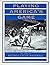 Playing America's Game: The Story of Negro League Baseball