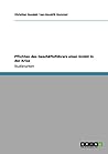 Pflichten des Geschäftsführers einer GmbH in der Krise (German Edition)