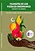 Filosofía de los pueblos originarios / Philosophy of the Indi... by Raúl Trejo Villalobos