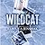 Wildcat (Wildcat Hockey, #1)