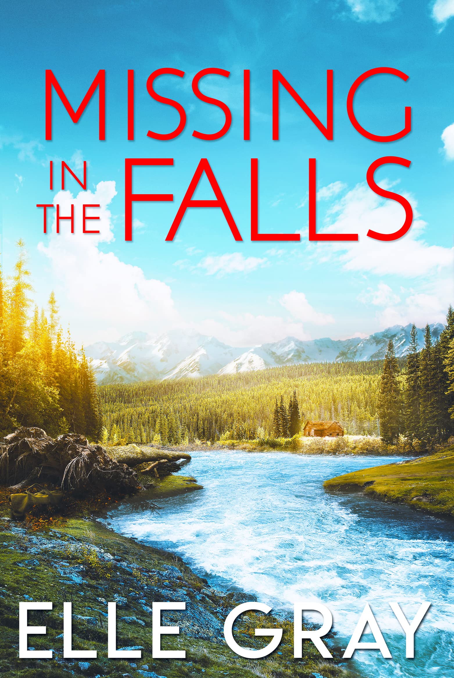 Missing in the Falls (A Sweetwater Falls Mystery Book 2)
