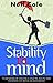 Stability in Mind: A Memoir of Politics and Plays in the Shadow of Bipolar Disorder