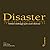 Disaster Management: Global Challenges and Local Solutions