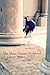 The Stone Mason's Notebook