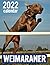 Weimaraner 2022 Calendar