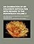 An examination of Bp. Colenso's difficulties with regard to the Pentateuch Volume 2; and some reasons for believing in its authenticity and divine origin