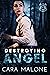 Destroying Angel: A Sapphic...
