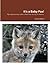 It's a Baby Fox! by Joe Shaw