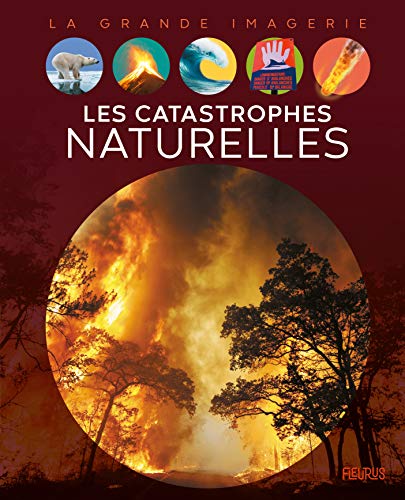Les catastrophes naturelles (Hardcover)
