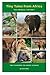 Tiny Tales from Africa: The...