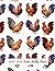 2019-2020 Rooster Monthly P...