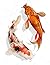 Fish Notebook: College Ruled Page Lined Paper With Weekly Checklist and Date Space There are Table Header For Write Topic and Dotted Grid Line For Easy to Create Japan Carp Fish Table