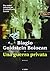 Una guerra privata by Biagio Goldstein Bolocan