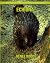 Echidna: Beautiful Pictures & Interesting Facts Children Book About Echidna