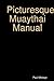Picturesque Muaythai Manual