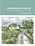 Our Journey to America by Joyce McChesney-Kaye
