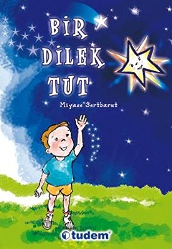 Bir Dilek Tut (Paperback)
