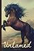 Untamed Fury Horse Journal