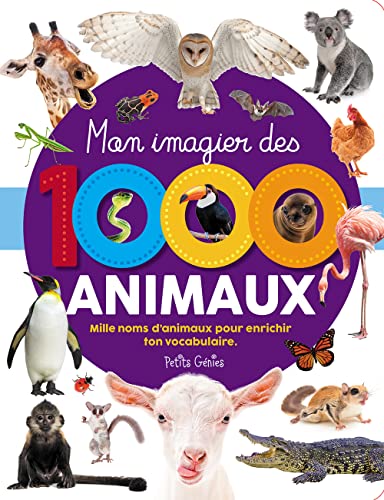 Mon imagier des 1000 animaux (Paperback)