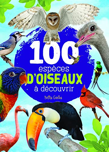 100 espèces d'oiseaux à découvrir (Paperback)