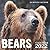 Bears Calendar 2022: Monthl...