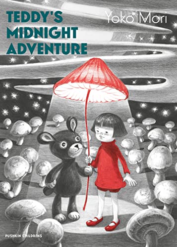 Teddy’s Midnight Adventure (Hardcover)