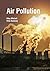 Air Pollution by Riley Mitc...