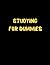 Studying For Dummies: Funny Gift, Journal, Notebook