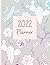 2022 Planner: Pink And Blue...