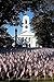 Field of American Flags Mem...