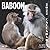 Baboon Calendar 2022: Month...