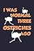 OSTRICH COMPOSITION NOTEBOOK by Milton Williams