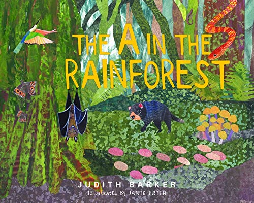 The A in the Rainforest (Paperback)