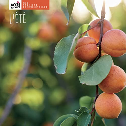 L'été (Hardcover)