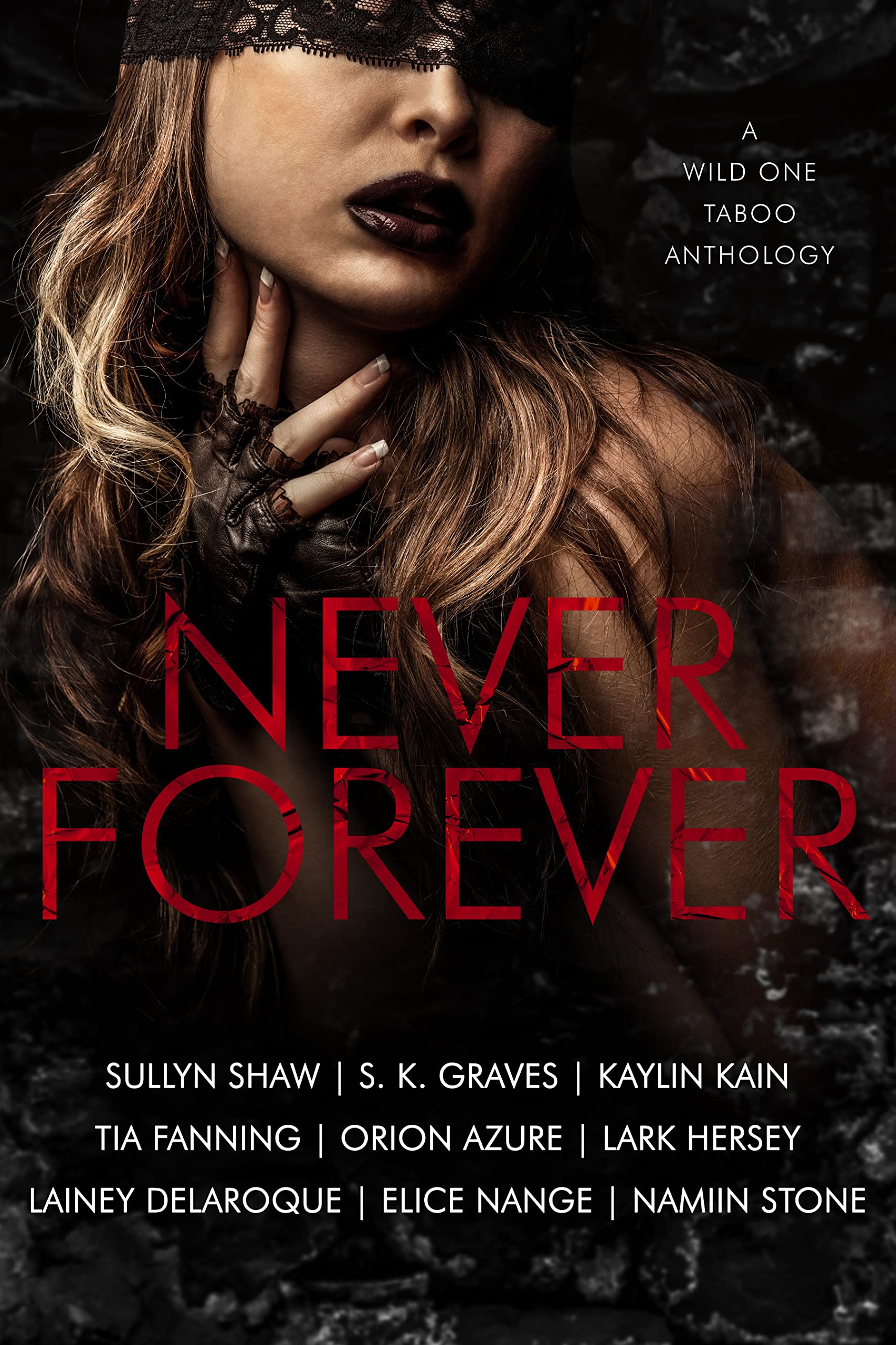 Never Forever (Kindle Edition)