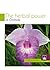The Herbal Power of Orchids