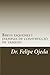 Breus esquemes i exemples de construcció de tasques: En Gineologia i Obstetrícia (Catalan Edition)