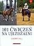 101 cwiczen na ujezdzalni by Cherry Hill