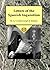 Letters of the Spanish Inqu...
