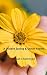 A Violent Spring & Other Poems