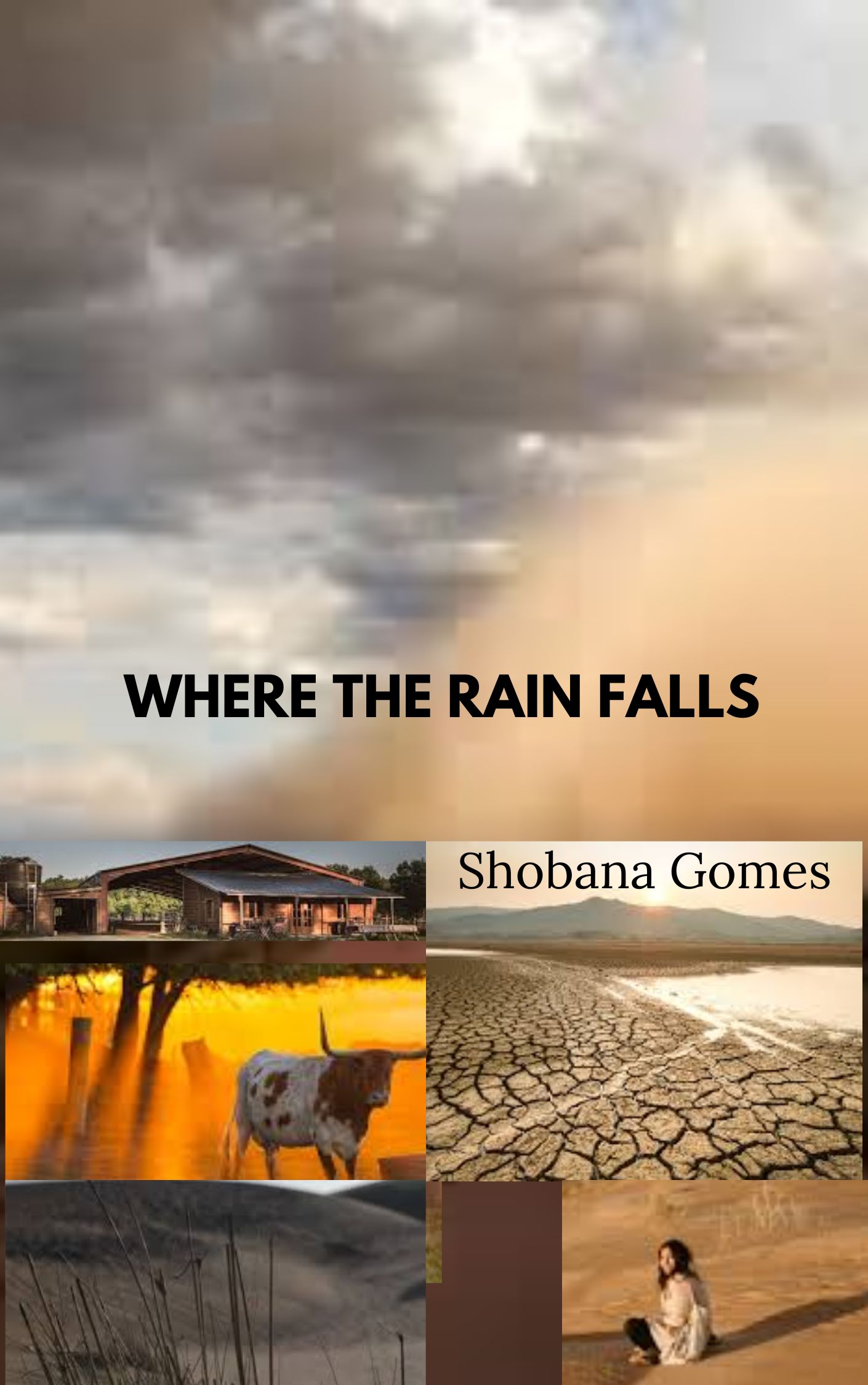 Where the Rain Falls