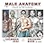 Male Anatomy: Calendar 2022...