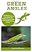 Green Anoles: The absolute ...