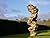Tony Cragg: A Rare Category...