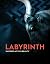 Labyrinth by Andrew Shapland