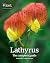 RHS Media Lathyrus The Comp...