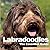 Labradoodles: The Essential...