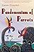 Pandemonium of Parrots