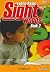 Learn Basic Sight Words Book 2